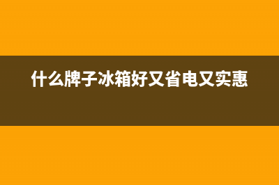 什么牌子冰箱好前三名是谁(冰箱使用常识)(什么牌子冰箱好又省电又实惠)