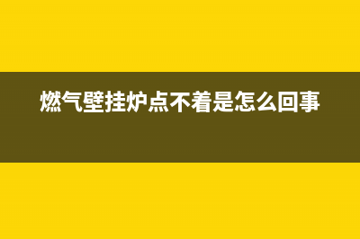 燃气壁挂炉点不着火是个什么故障(燃气壁挂炉点不着是怎么回事)