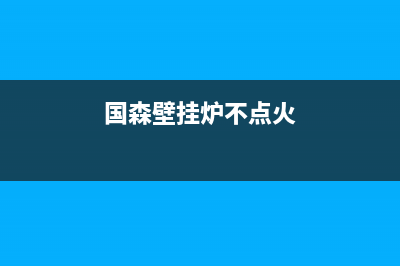 国森壁挂炉不能取暖故障原因(国森壁挂炉不点火)