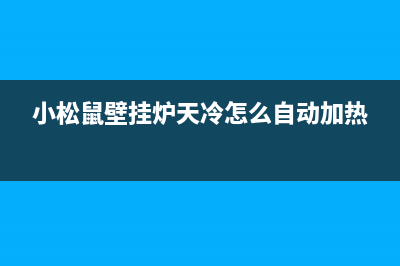 小松鼠壁挂炉天温控器淋浴暖气SD18(小松鼠壁挂炉天冷怎么自动加热)