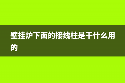 壁挂炉里的线老鼠咬了售后管不(当老鼠咬了燃气壁挂炉)(壁挂炉下面的接线柱是干什么用的)