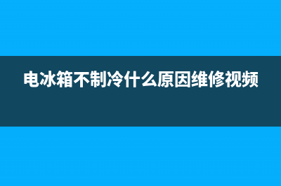 冰箱不制冷维修价格表(冰箱冷冻正常)(电冰箱不制冷什么原因维修视频)