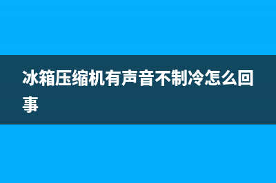 冰箱压缩机有声音(冰箱压缩机噪声大是什么原因)(冰箱压缩机有声音不制冷怎么回事)