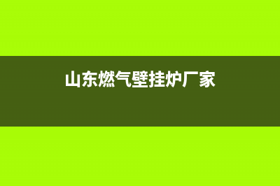 山东燃气壁挂炉维修培训机构(壁挂炉行业终将逃不出“二八原则”的手掌心)(山东燃气壁挂炉厂家)