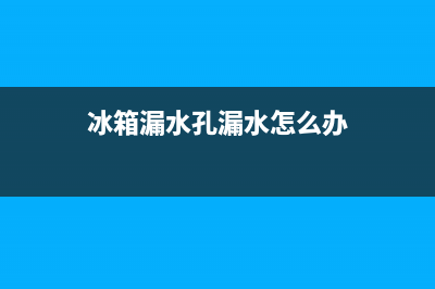 夏普冰箱漏水孔堵塞是怎么回事(冰箱漏水孔漏水怎么办)