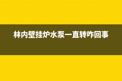 林内壁挂炉水泵漏水如何解决(林内壁挂炉水泵一直转咋回事)